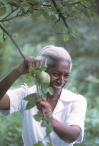 Edna smiles as she picks a pear from a tree